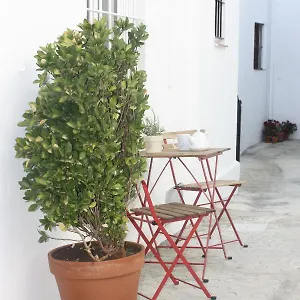 La Casa Del Patio Apartamento